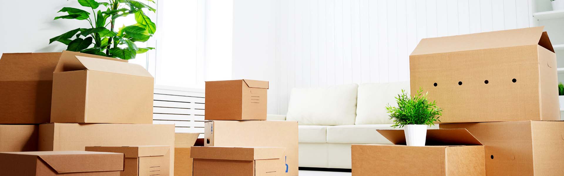 packers and movers pithampur